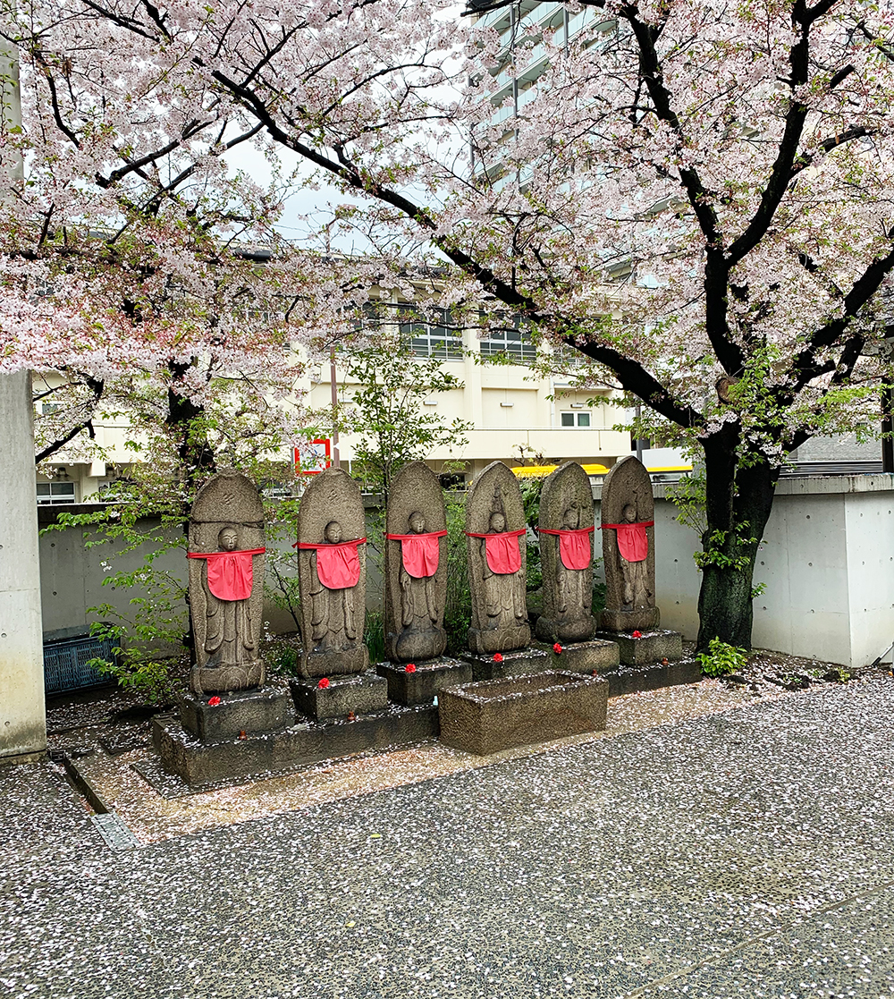 散る桜 残る桜も散る桜 應典院