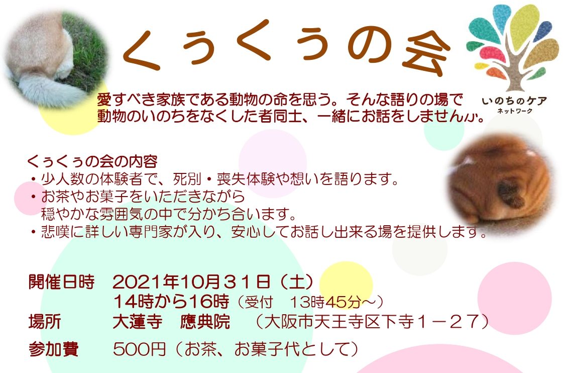 イメージ画像
