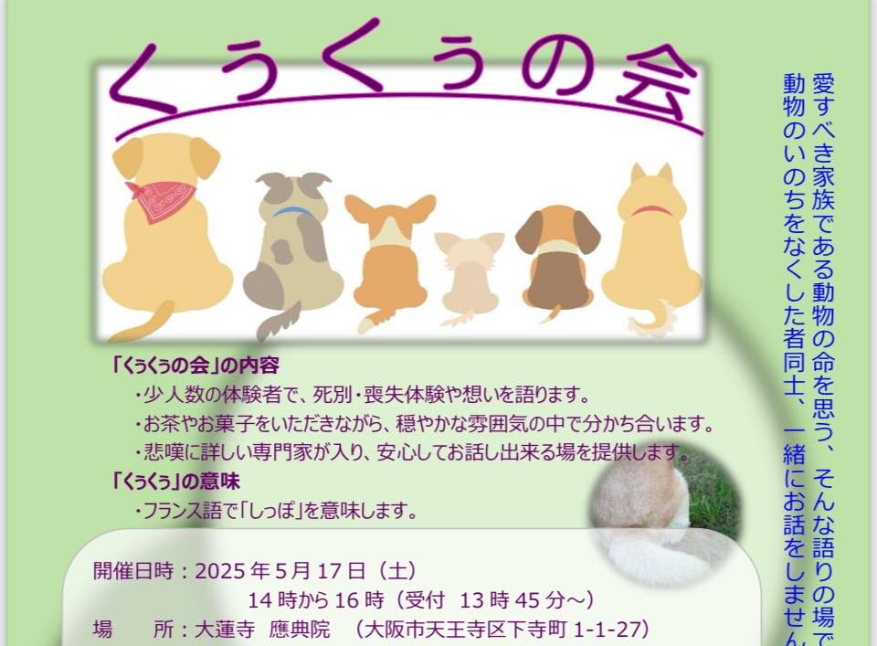イメージ画像